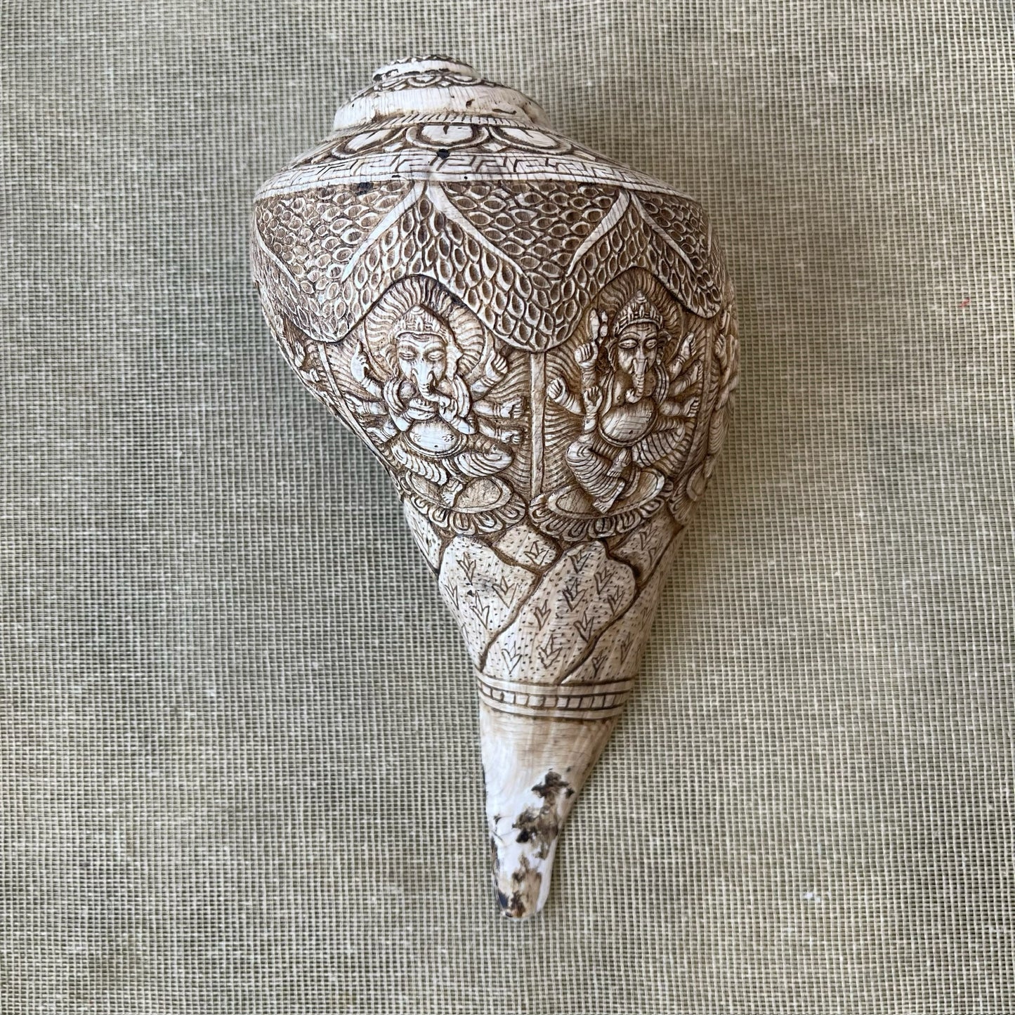 Concha de Caracola Budista Tibetana, Ganesha, Tallada a Mano en Nepal