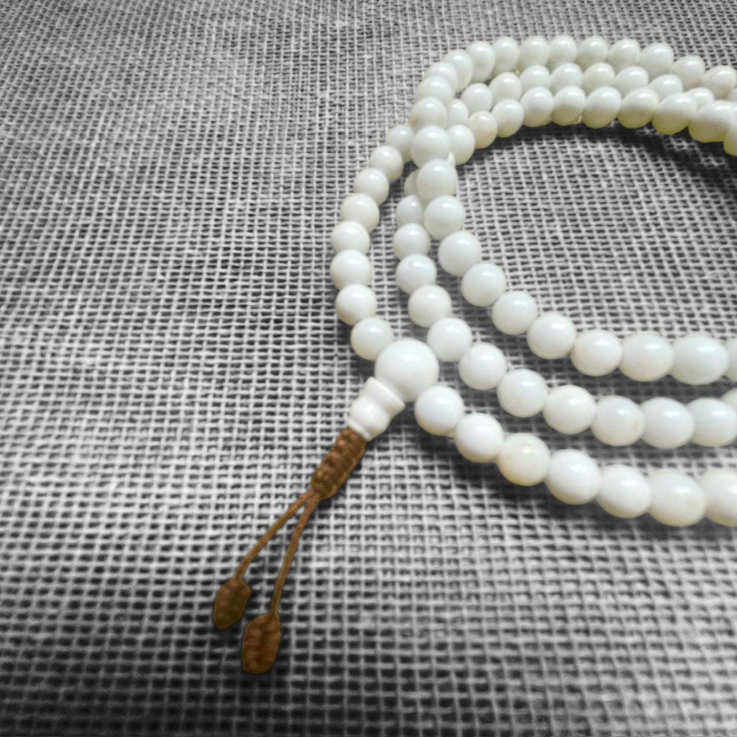 Japa Mala Auténtico de Concha Blanca 6mm