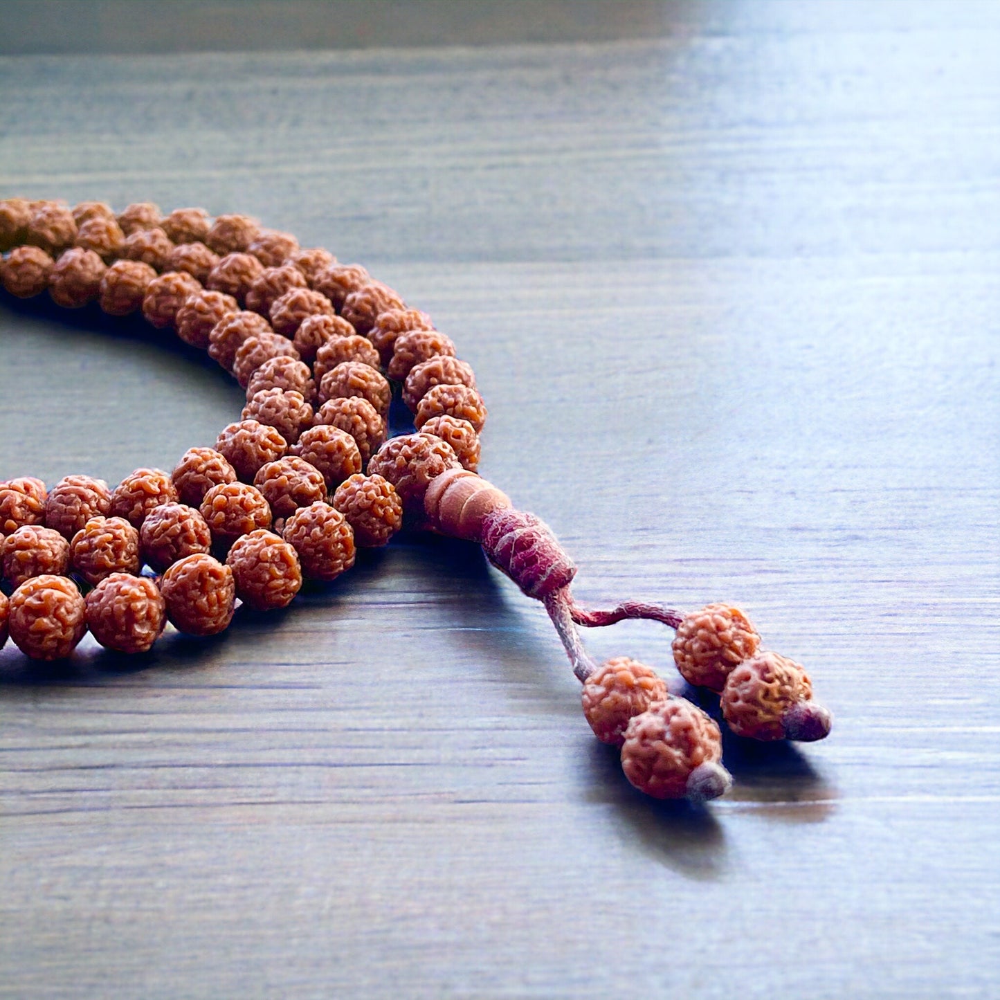 Japa Mala Auténtico de Rudraksha de 8mm