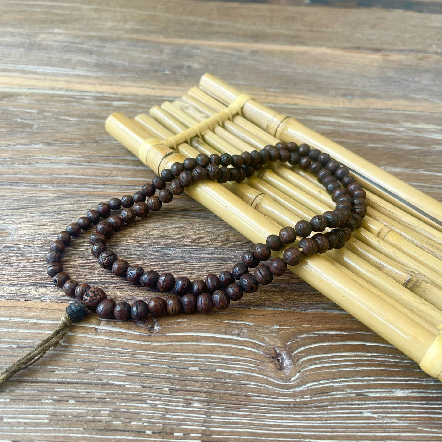 Japa Mala Auténtico de Semilla Sagrada de Rakto de 8mm