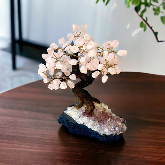 Bonsai Cuarzo Rosa