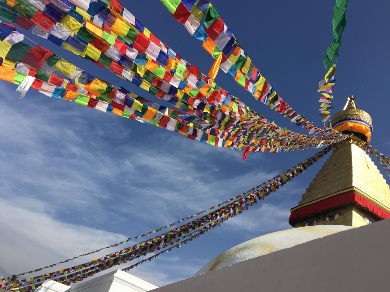 Bandera de Oración Tibetana, 20cm x 24cm, Buda de Medicina